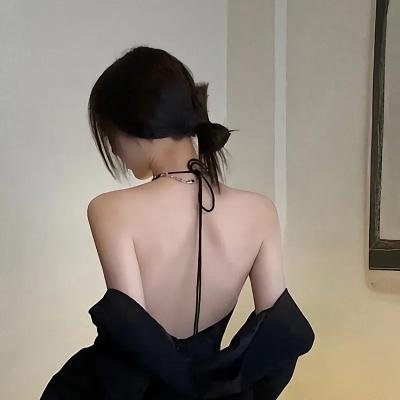名校风暴第五季